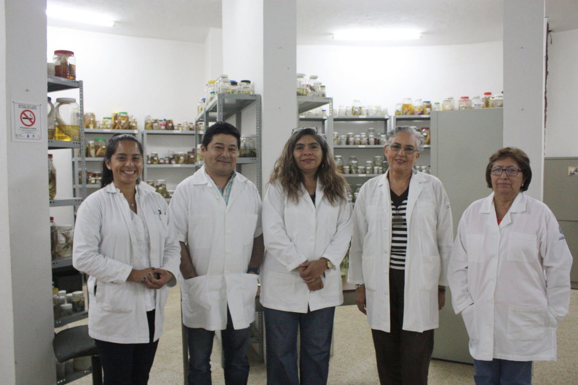  95 por ciento de especies representativas